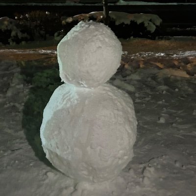 mipopo773's profile picture. こーこーせー