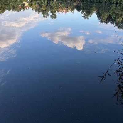 AlionaMalanciuc's profile picture. I think the whole world is stupid and dark. I wish for our Earth to be free of shadow governments.