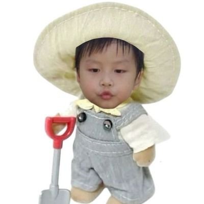 Aurorasaaa's profile picture. jungt😺