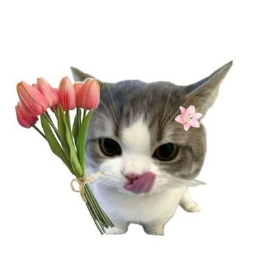 ThelhodeHaage's profile picture. If it hurtssss to breathe open a windowwww