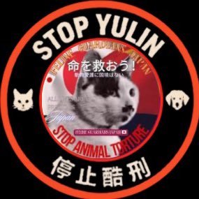 ＜Guardian Cats＞「ガーディアンキャッツ」 51cE9wiCIBL._UF350,350_QL80_.jpg