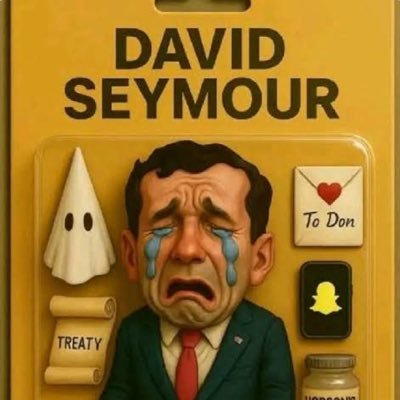 _EthanTalks's profile picture. Ngati Apa | Ngati Kahungunu | Toitū Te Tiriti