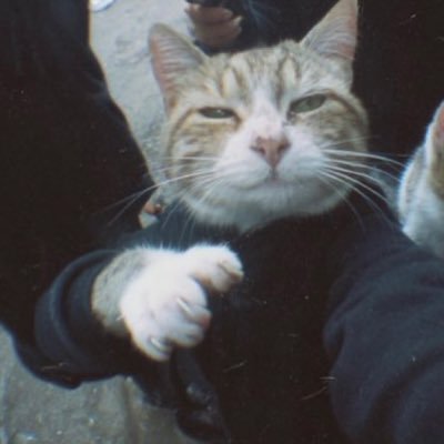 xmi_io's profile picture. Web 3 | all route na way