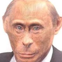banan monger 🙏🔥🇺🇦🔱⚫🔴 (@norusnya) 's Twitter Profile