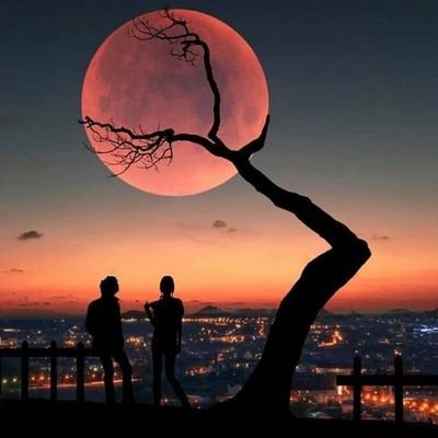 Ahmed56309400's profile picture. ‏‏السياسة والسياسيّون الأخبار العامة كرة القدم الأخبار الأخبار العامة الرياضات الترفيه