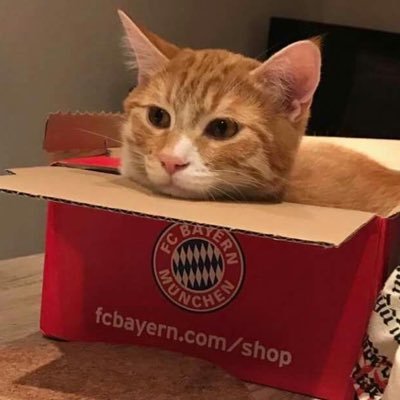 ilysmjoonie_'s profile picture. “if we live fast, let us die young”