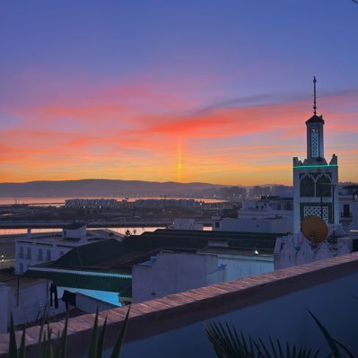 oceanegtrr's profile picture. 