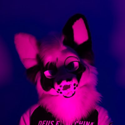 Mutt🔜WAFF Profile