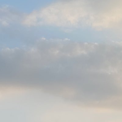 dottonet1's profile picture. 