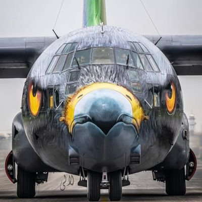 ShahMohib143's profile picture. 