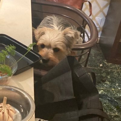 73Sfwp6gmfkGE4D's profile picture. 