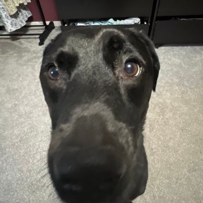 alexxxxx_xox's profile picture. hey hunny bunnies 💖 // soup slut // 28