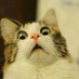 404cringe (@404cringe) Twitter profile photo 404cringe (@404cringe) Twitter profile photo
