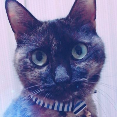 ラテさんのプロフィール画像