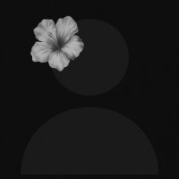 ALOT | العتيبية (@raiiinn09) 's Twitter Profile