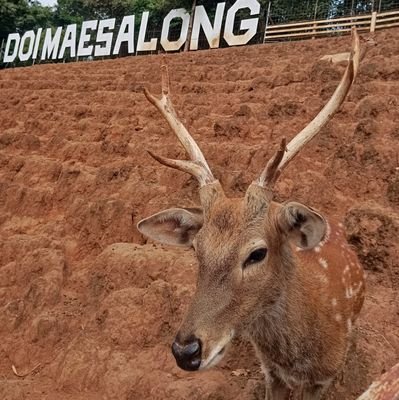 AJehyi17957's profile picture. รีวิวของดีของราคาถูก🌻😉