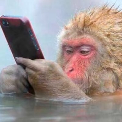 AustinMcquade's profile picture. 