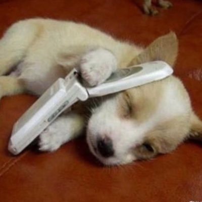 i_m_stonetone's profile picture. 