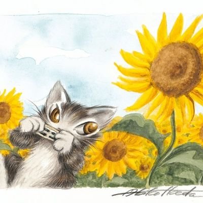 🦁生きてて良かったと思える国🐭人も動物も同じ生き物として尊重される社会へ🏡住まいは権利🏡消費税廃止⭕今すぐ給付金💴社会保険料引き下げ⬇️年金底上げ⬆️税金は大金持ちから取れ‼️本物の安全保障🕊I❤Peace🕊 I hope there will be no more war no more nukes‼️
