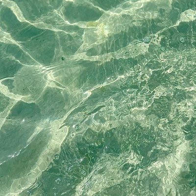 _______su_8's profile picture. 衣食住音楽椅子建築