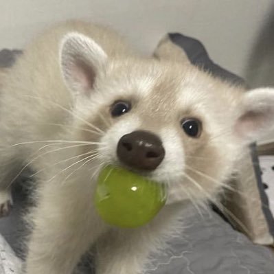 aerostatss's profile picture. 