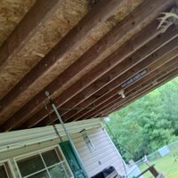 hj (@bentaylor198738) 's Twitter Profile