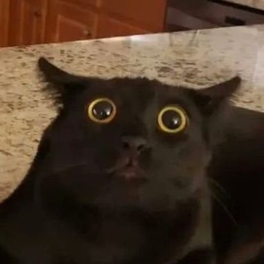 space_gen_27000's profile picture. teda cooo? 
🇺🇦🏳️‍🌈🏳️‍⚧️🇬🇾🇦🇲🇹🇼🇰🇮🏴🌐☢️⚛️💉🛰️🚀
Dostal jsem zloděje k soudu. H+  #Bitcoin