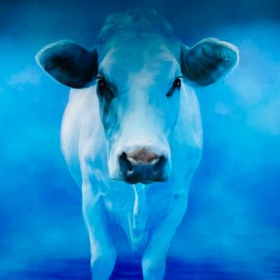 TChamp25221's profile picture. אריה ישראל בן שלמה ליפא🎗️🎗️