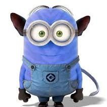 @fernando_nieto6