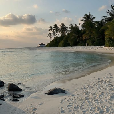 _ola_r's profile picture. 