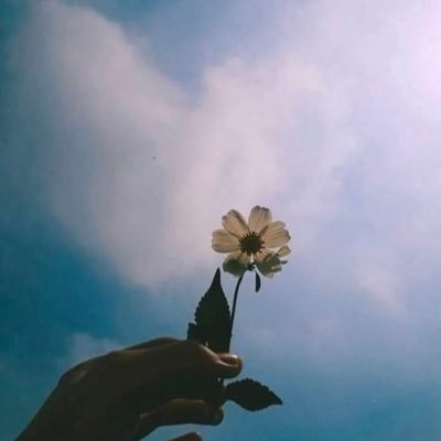 SidthisaiA3772's profile picture. 