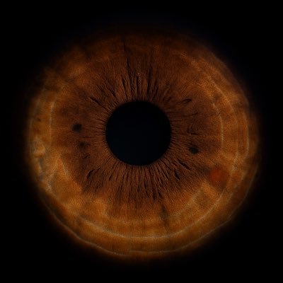 ozrrr__'s profile picture. Bir delinin herkese açık not defteri...