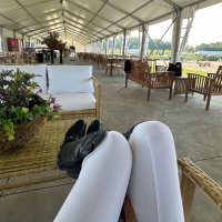 女骑士 (@lemonhostess521) 's Twitter Profile