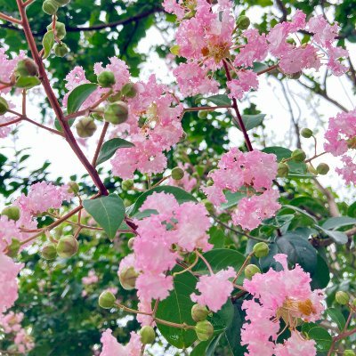 yamato_1663's profile picture. 愛は野の花のようなものです。🌻思いもよらない場所で見つかることが多いのです。💐🌸🌷🌹🌺

花は太陽の光がなければ咲きませんし、人は愛がなければ生きられません。💕⃝🕊️🥀

花を見たい人にはいつでも花があります。💐