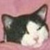Schmear (@specialops999) Twitter profile photo Schmear (@specialops999) Twitter profile photo