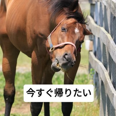 Bigboさんのプロフィール画像