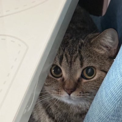 B93872209's profile picture. 