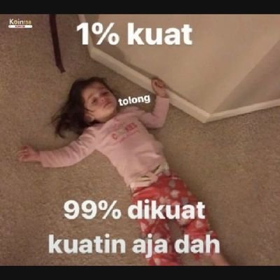 alfinaalaili's profile picture. hayo.