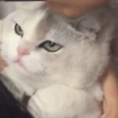 RakRak_013's profile picture. Faye Malisorn's alter ego
.
.
.

FayeYoko | Babebies

IG: onethree_twoo