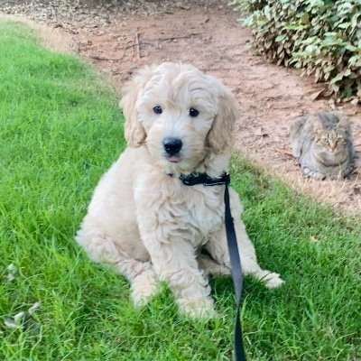 TheTrekkinMama's profile picture. Financial analyst, accountant, single mom. Life is what you make of it, don’t let anyone dictate who you are or what you can achieve.