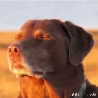 Extraevaganza's profile picture. 