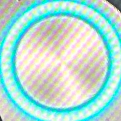 thcmushh39468's profile picture. 