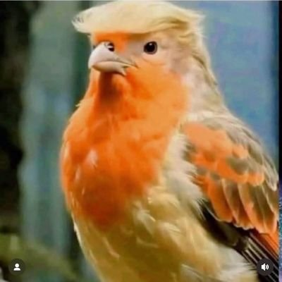 seliandro22's profile picture. 