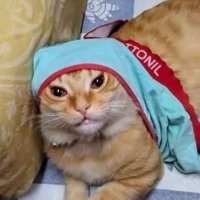 no one (@mohamedaragab11) 's Twitter Profile Photo