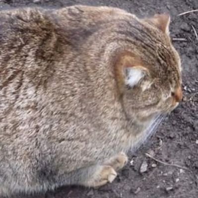 kkpw00kwo's profile picture. 재밌냐