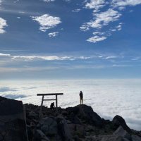 koki (@koki___5ne7) 's Twitter Profile