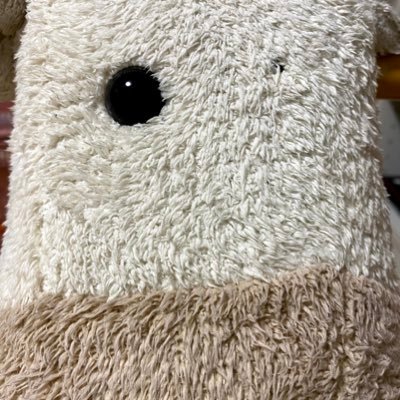 よしもさんのプロフィール画像