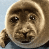 Syntax_XXX69's profile picture. I don’t just handle POST requests—I make 'em beg for more data.