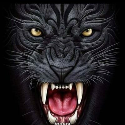 Black tiger Profile