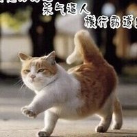 猫 (@schneider_35122) 's Twitter Profile Photo 猫 (@schneider_35122) 's Twitter Profile Photo